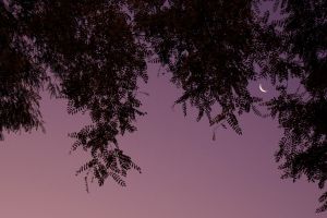 La-Luna.jpg
