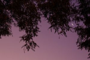 La-Luna.jpg