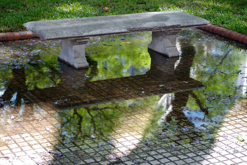 Reflejos.jpg