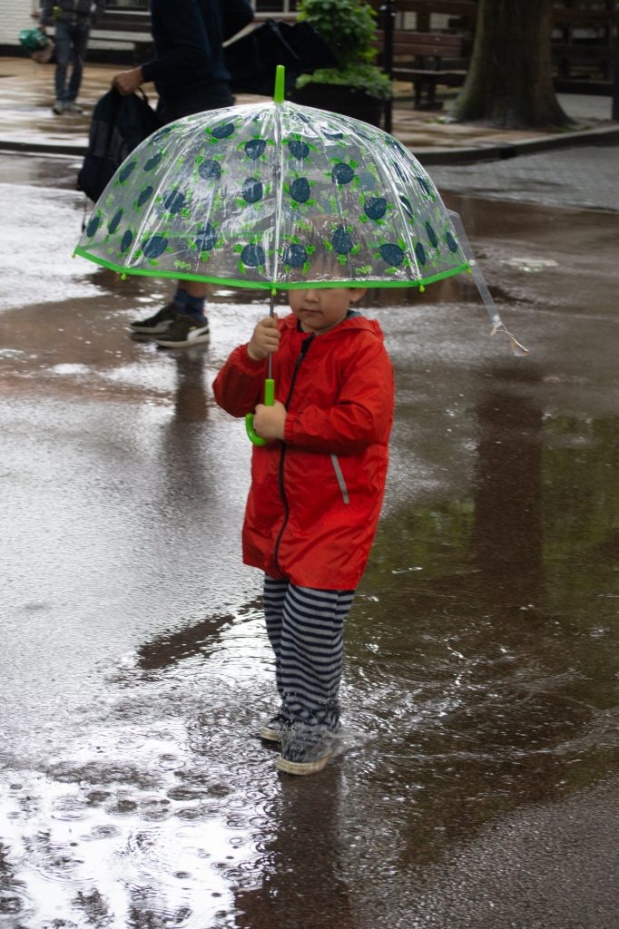 Boy playing in the puddles at DierenPark Amersfoort by Beatrice Murch