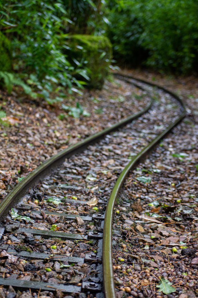 Train tracks at DierenPark Amersfoort by Beatrice Murch